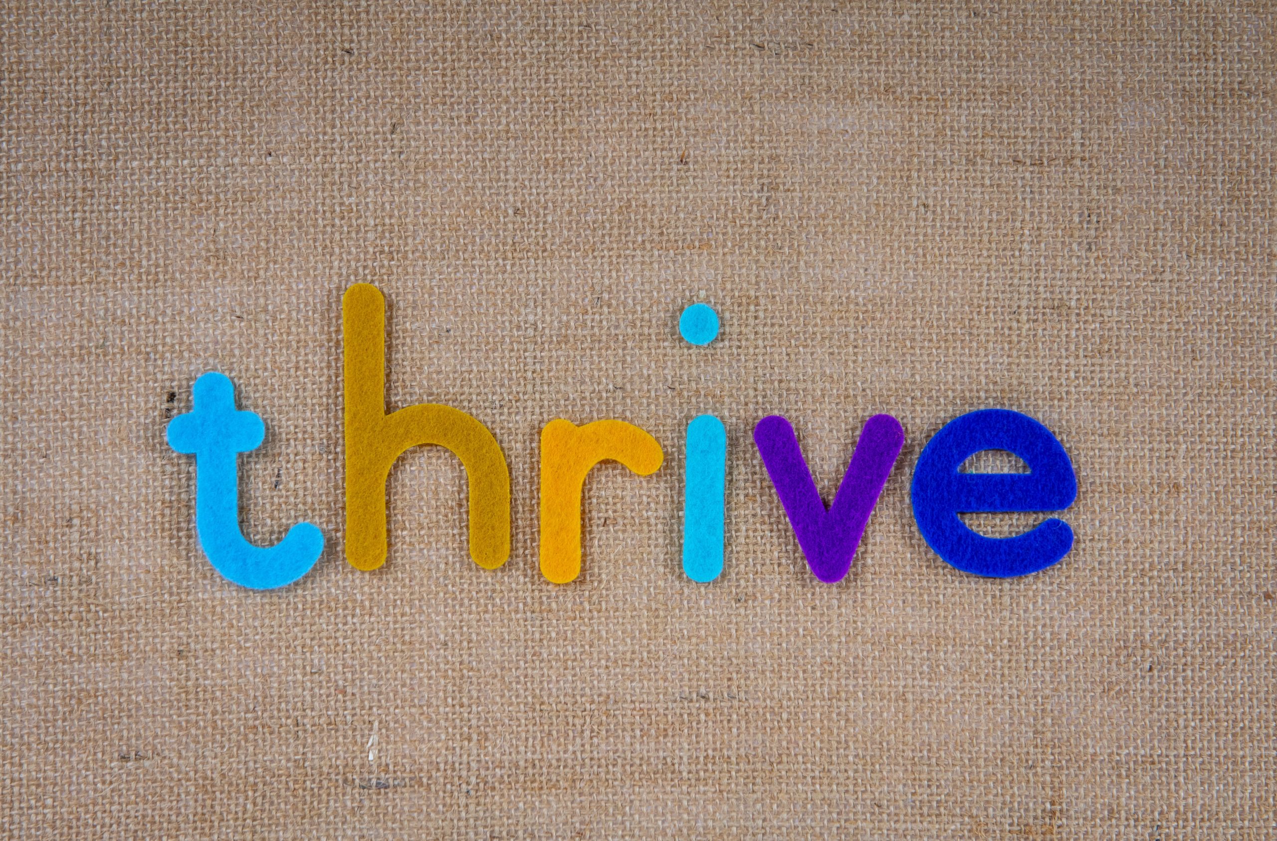 thrive real estate brokerage article image text thrive in felt on canvas background